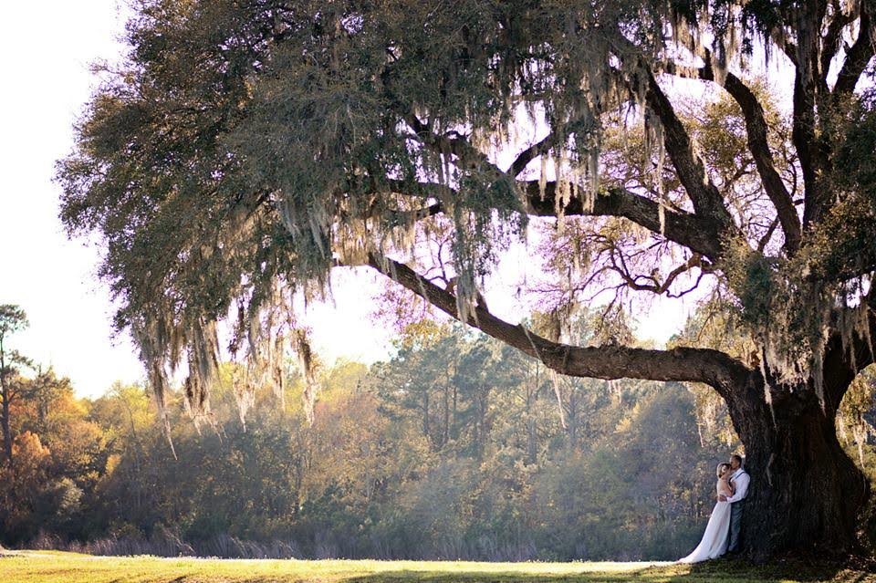 Bride and Groom Cuddle Up Under a Giant Oak Tree on a Sunny Afternoon in the South Carolina lowcountry